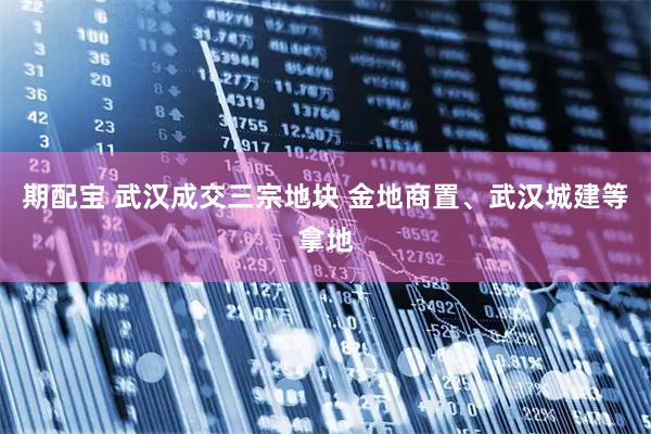 期配宝 武汉成交三宗地块 金地商置、武汉城建等拿地