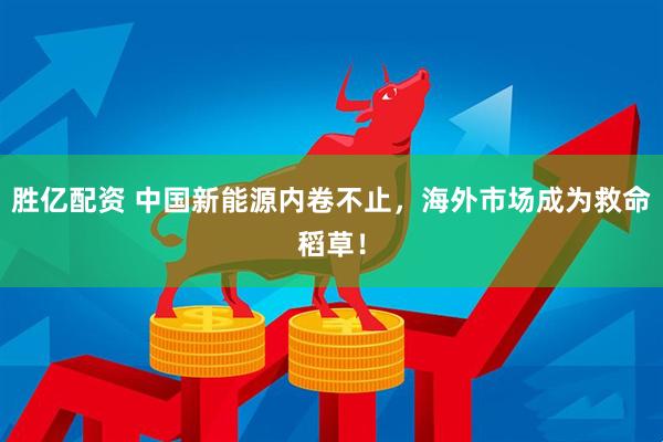胜亿配资 中国新能源内卷不止，海外市场成为救命稻草！