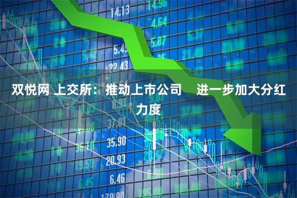 双悦网 上交所：推动上市公司    进一步加大分红力度